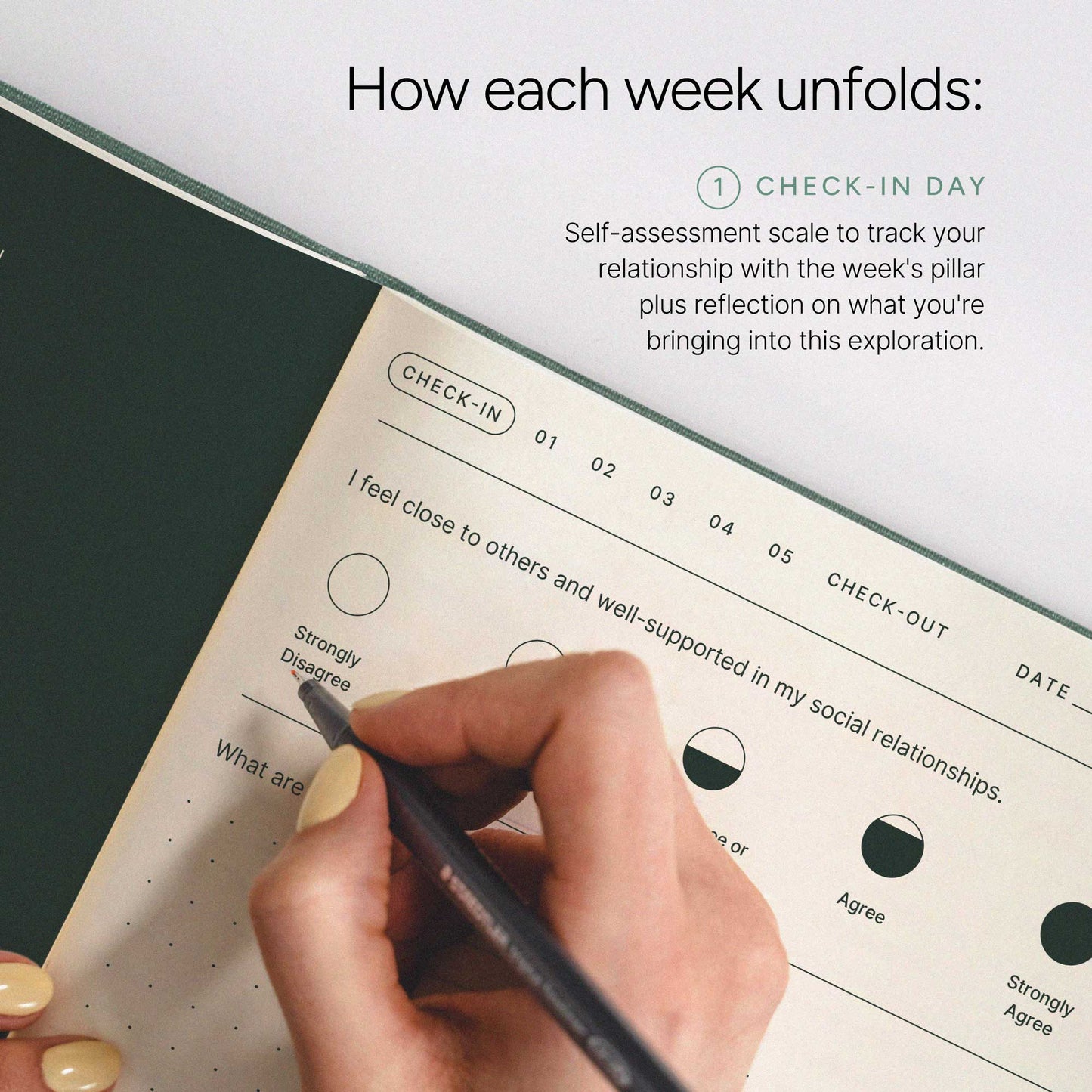 The Daily Flourish Journal