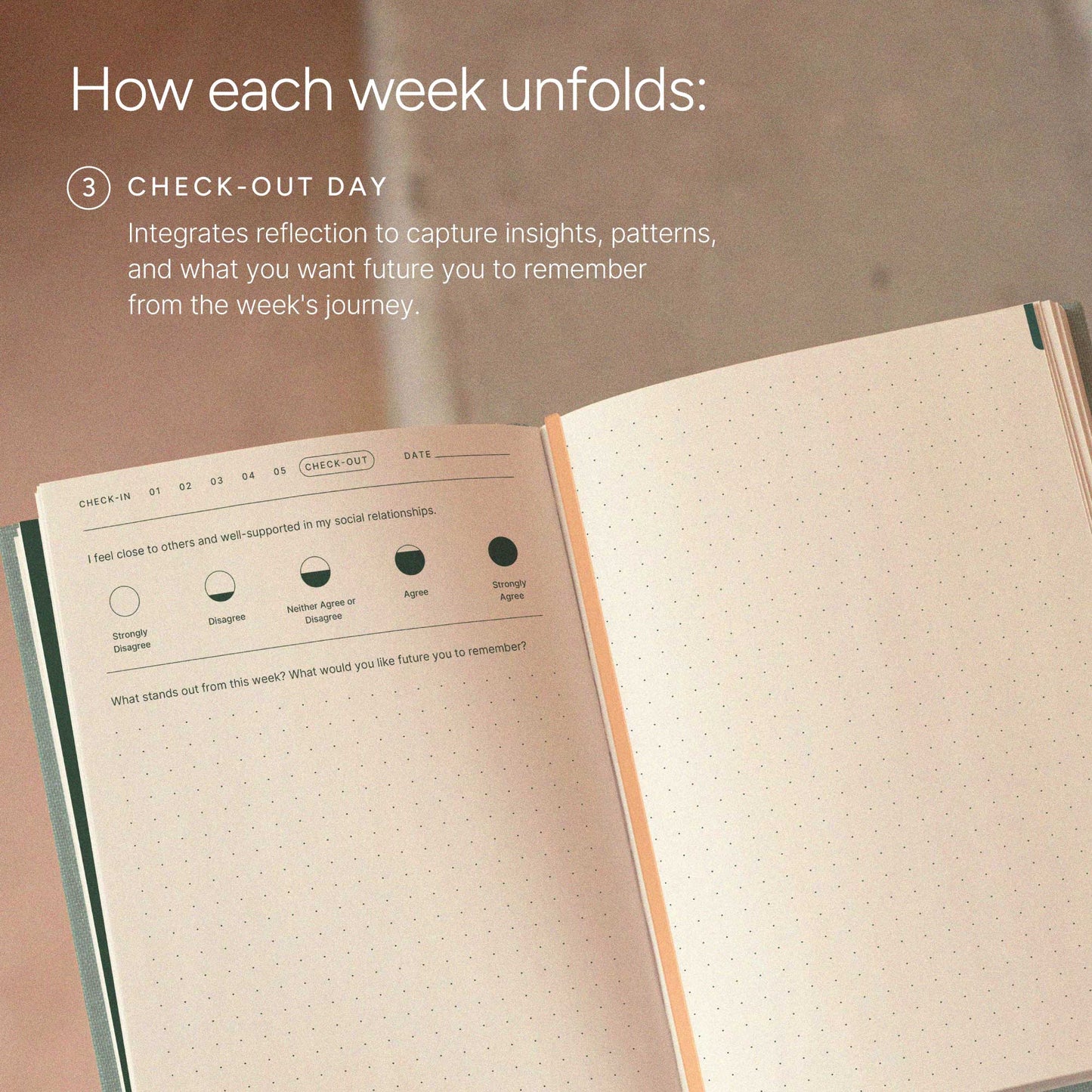 The Daily Flourish Journal