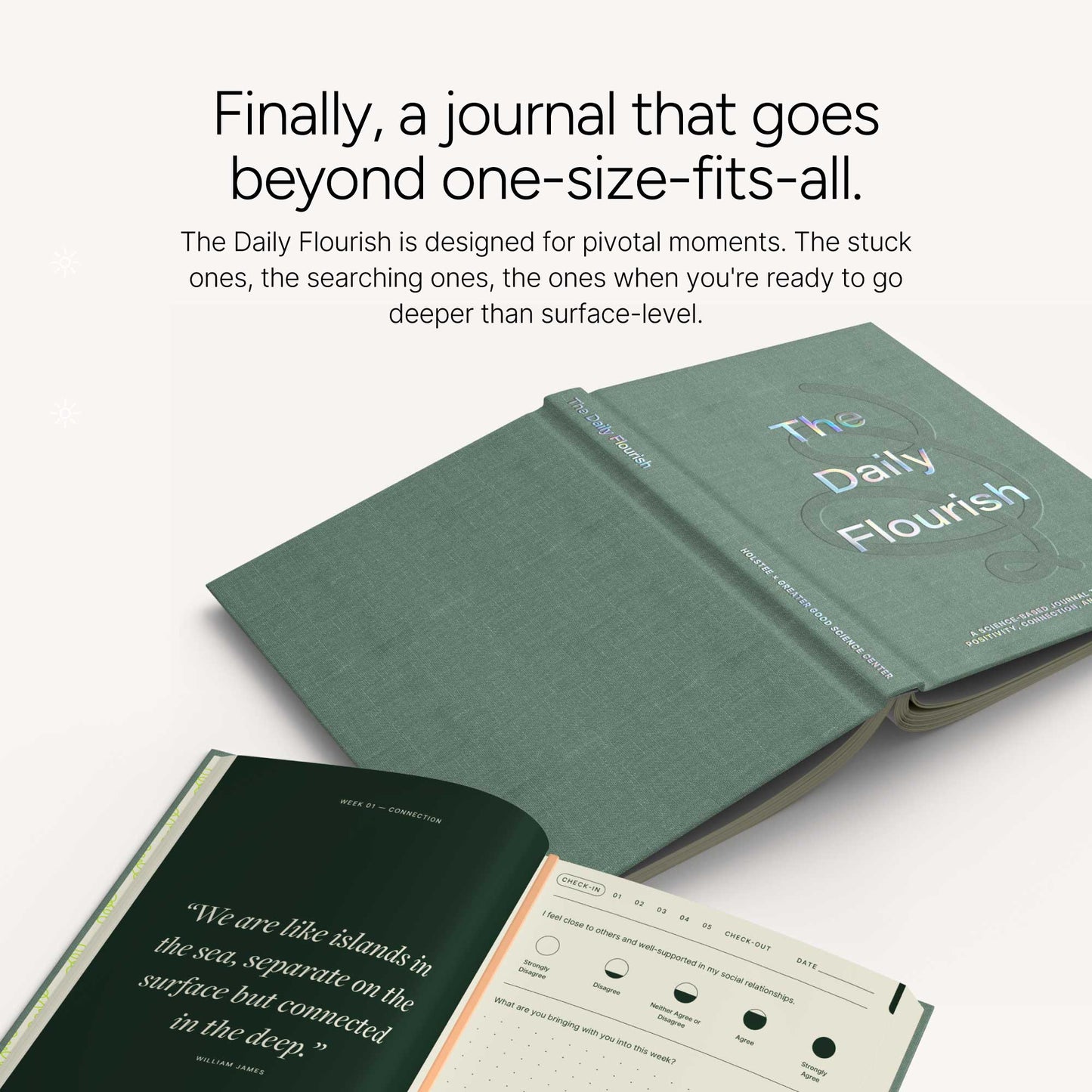 The Daily Flourish Journal
